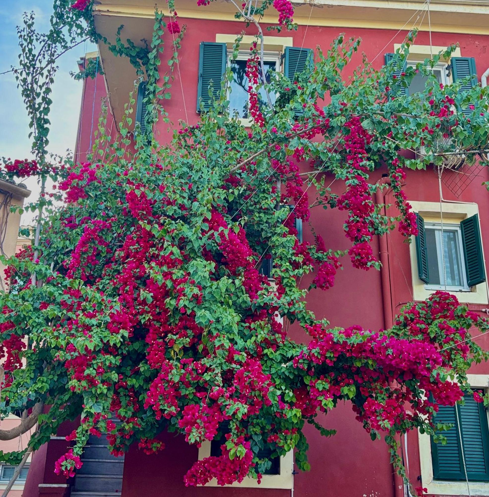 Corfu Port Home Corfu (city) Exterior foto